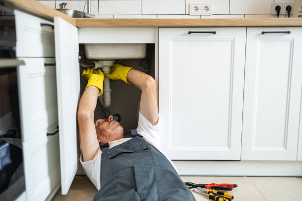 Best Plumbing Inspection Services  in Almedia, PA